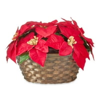 Празнично време Червено кадифе Коледна звезда в бамбукова кошница