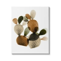 Ступел индустрии бодлива круша кактус растения слоести зелени кафяви сукуленти, 30, дизайн от Алберт Коецие