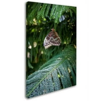 Търговска марка изобразително изкуство сива пеперуда платно изкуство от Йейл Гърни