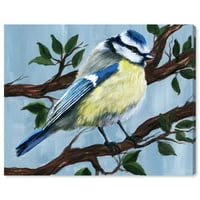 Уинууд студио платно безплатно птици животни птици стена изкуство платно печат синьо Светло синьо 20х16