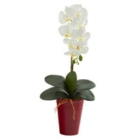 23В. Фаленопсис Орхидея изкуствено подреждане в Ваза
