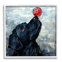 Ступел индустрии Черно куче балансиране червена топка нос животински портрет, 12, дизайн от Деби Кулс