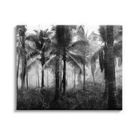 Ступел индустрии гъста тропическа Палмово дърво гора фото галерия увити платно печат стена изкуство, дизайн от Ким Алън