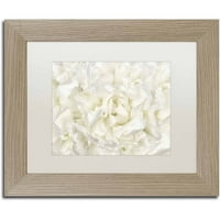 Марка изобразително изкуство 'бял божур цвете' платно изкуство от кора Ниле, бял мат, бреза рамка